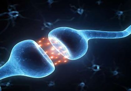 «مسیر عصبی جدید و دلیل اینکه چرا شروع سخت است – فرد مؤثر»