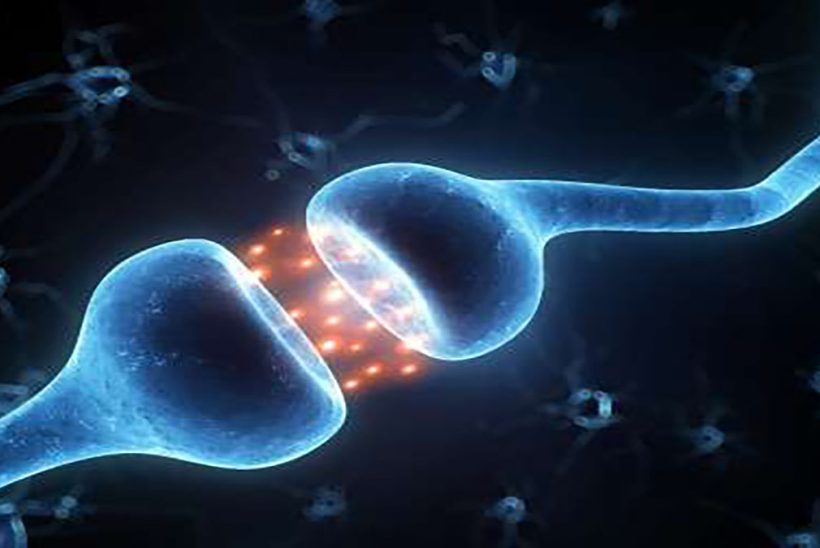 «مسیر عصبی جدید و دلیل اینکه چرا شروع سخت است – فرد مؤثر»